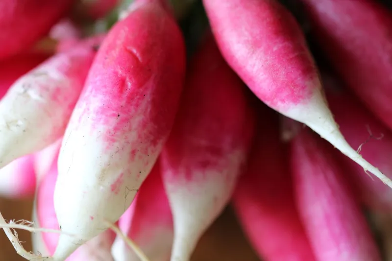 What the Calendar Knows: The French Brasserie's Devotion to Seasonal Cooking